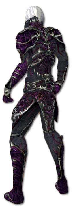 Nekromant Elite-Nekrotik-Rüstung Männlich hinten.jpg