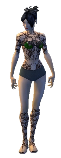 Nekromant Elite-Narbenmuster-Rüstung Weiblich brust schuh vorne.jpg