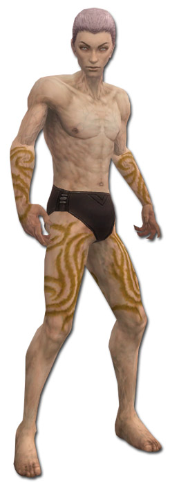 Nekromant Narbenmuster-Rüstung Männlich hand bein vorne.jpg