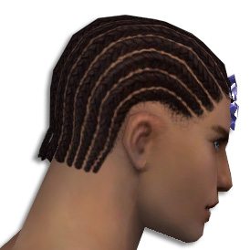 Datei:Paragon Obsidian-Rüstung Männlich kopf hinten.jpg