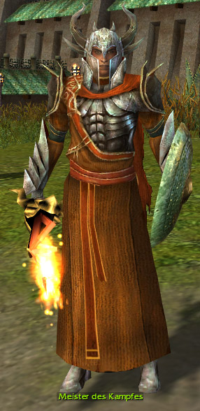 Datei:Meister des Kampfes.jpg