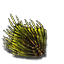 Iboga-Blütenblatt icon.png