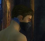 Datei:Assassine Kurzick-Rüstung Männlich kopf hinten.jpg