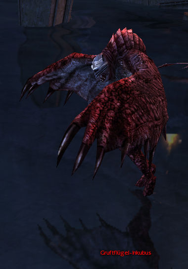 Datei:Gruftflügel-Inkubus.jpg