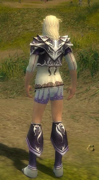 Elementarmagier Deldrimor-Rüstung Männlich brust schuh hinten.jpg