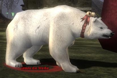 Datei:Ursula die Weiße.jpg