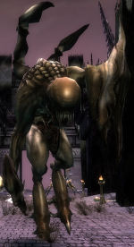 Emissär von Dhuum (Krieger).jpg