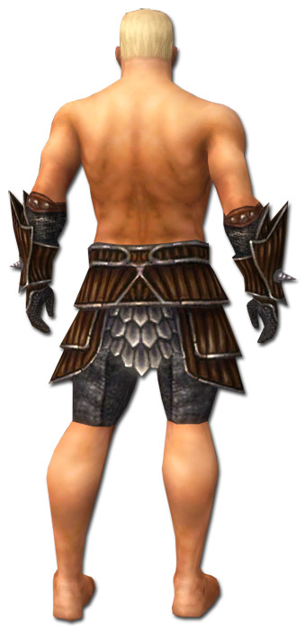 Krieger Wyvernrüstung Männlich hand bein hinten.jpg