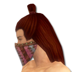 Waldläufer Luxon-Rüstung Männlich kopf seite.jpg