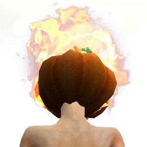 Helm des Hofes der Verrückten männlich hinten.jpg