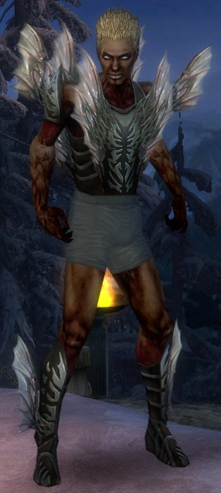 Nekromant Altehrwürdige Rüstung Männlich brust schuh vorne.jpg