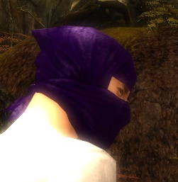 Maske der Mo Zing Männlich seite.jpg