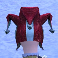 Narrenmütze hinten.jpg