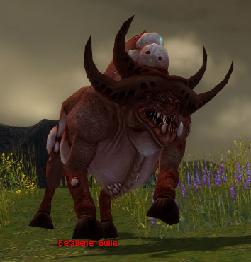 Datei:Befallener Bulle.jpg