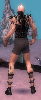 Nekromant Obsidian-Rüstung Männlich brust schuh hinten.jpg