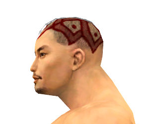 Mönch Elite-Luxon-Rüstung Männlich kopf seite.jpg