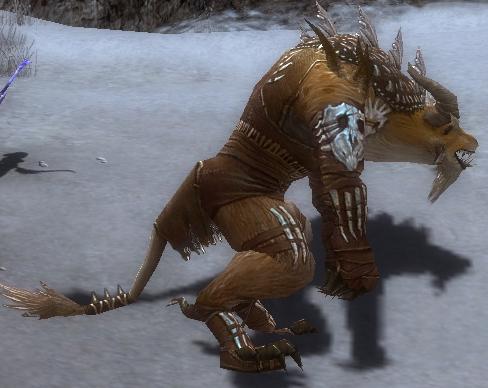 Brandor Grimmflamm Bruderschafts-Rüstung rechts.jpg