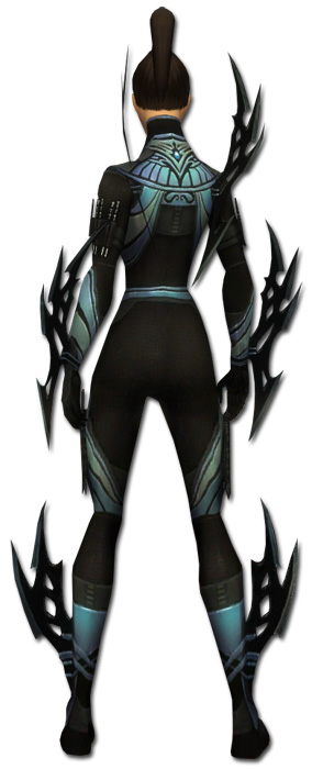 Zenmai Altehrwürdige Rüstung hinten.jpg