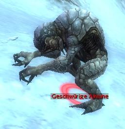 Datei:Geschwürige Alraune.jpg