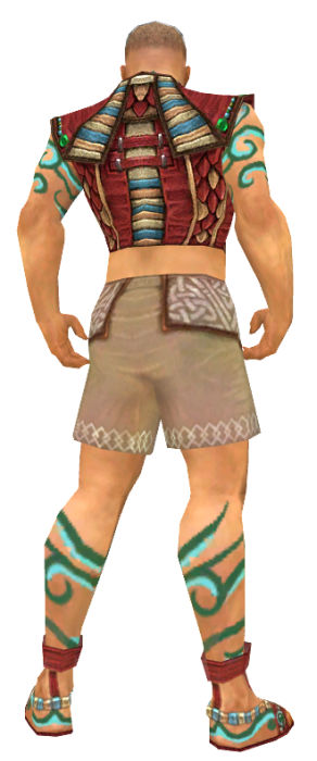 Mönch Elite-Luxon-Rüstung Männlich brust schuh hinten.jpg