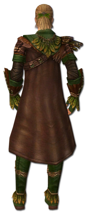 Waldläufer Druiden-Rüstung Männlich hinten.jpg