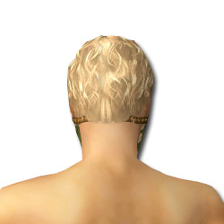 Datei:Waldläufer Shing Jea-Rüstung Männlich kopf hinten.jpg