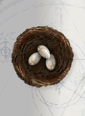 Datei:Zhos Aufzeichnungen - Das Ziel vor Augen.jpg