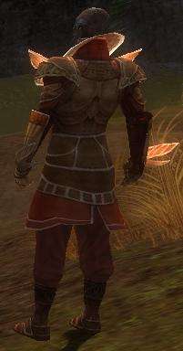 General Morgahn Kourna-Rüstung hinten.jpg