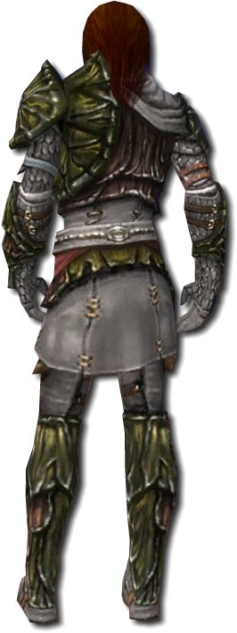 Waldläufer Elite-Luxon-Rüstung Männlich hinten.jpg