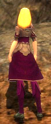 Waldläufer Deldrimor-Rüstung Weiblich brust schuh hinten.jpg