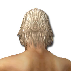 Datei:Waldläufer Kryta-Rüstung Männlich kopf hinten.jpg