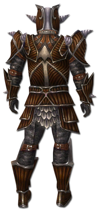 Krieger Wyvernrüstung Männlich hinten.jpg