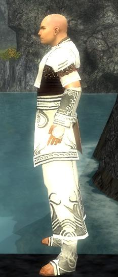 Mönch Deldrimor-Rüstung Männlich seite.jpg