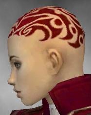 Mönch Elite-Kurzick-Rüstung Weiblich kopf seite.jpg