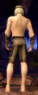 Waldläufer Obsidian-Rüstung Männlich hand bein hinten.jpg