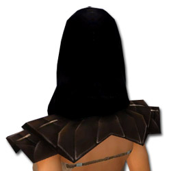 Derwisch Altehrwürdige Rüstung Weiblich kopf hinten.jpg