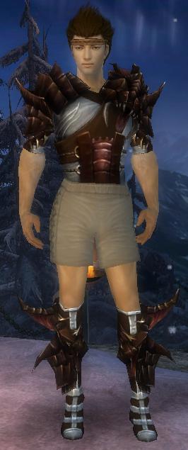 Waldläufer Altehrwürdige Rüstung Männlich brust schuh vorne.jpg