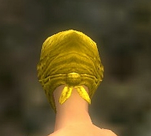 Maske der Mo Zing Weiblich hinten.jpg