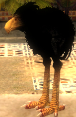 Schwarze Moa-Küken-Figur-Avatar.jpg