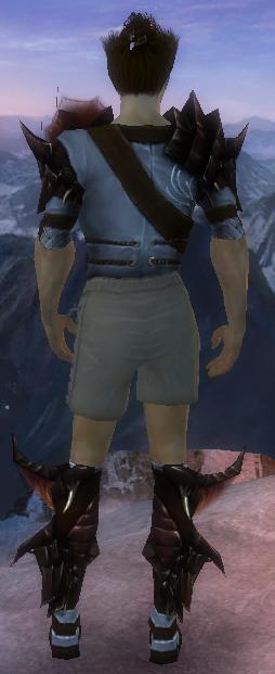 Waldläufer Altehrwürdige Rüstung Männlich brust schuh hinten.jpg