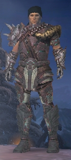 Datei:Benutzer Mira Der Wish-krieger2.jpg