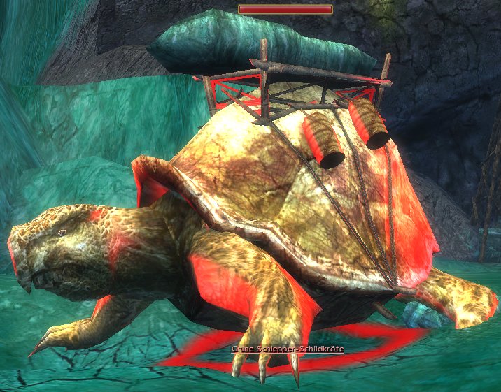 Datei:Grüne Schlepper-Schildkröte.jpg