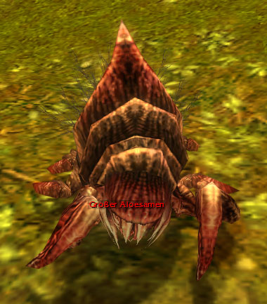 Datei:Großer Aloesamen.jpg