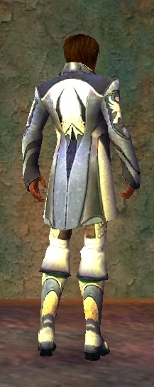 Mesmer Deldrimor-Rüstung Männlich hinten.jpg