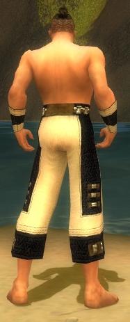 Mönch Elite-Heiligen-Rüstung Männlich hand bein hinten.jpg