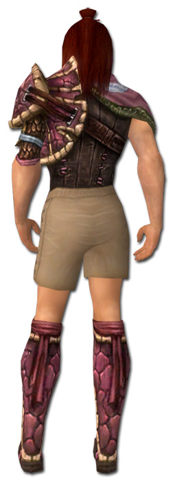 Waldläufer Luxon-Rüstung Männlich brust schuh hinten.jpg