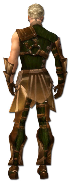 Waldläufer Sonnenspeer-Rüstung Männlich hinten.jpg