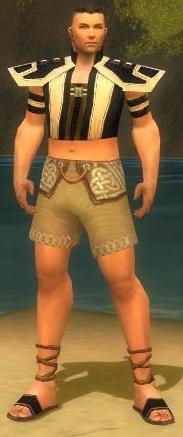 Mönch Elite-Heiligen-Rüstung Männlich brust schuh vorne.jpg