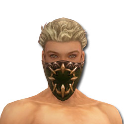 Waldläufer Sonnenspeer-Rüstung Männlich kopf vorne.jpg