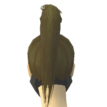 Datei:Assassine Vaabi-Rüstung Weiblich kopf hinten.jpg